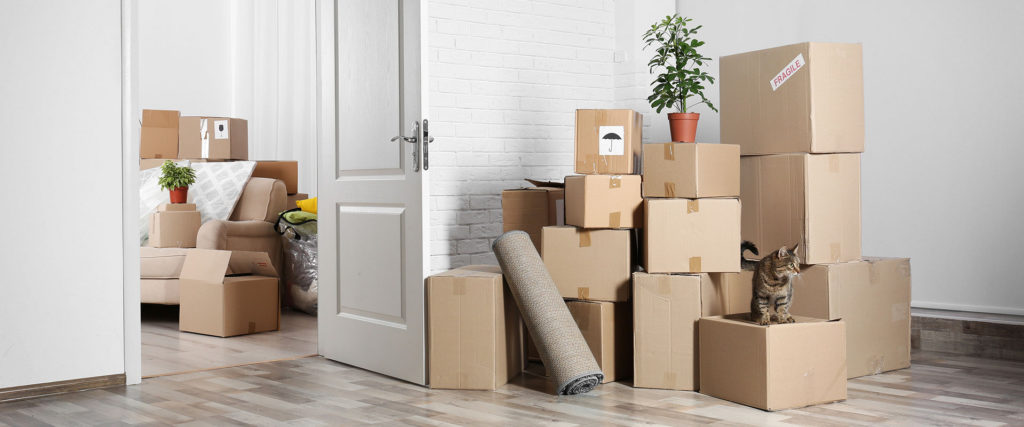 Packing items for moving home - toronto